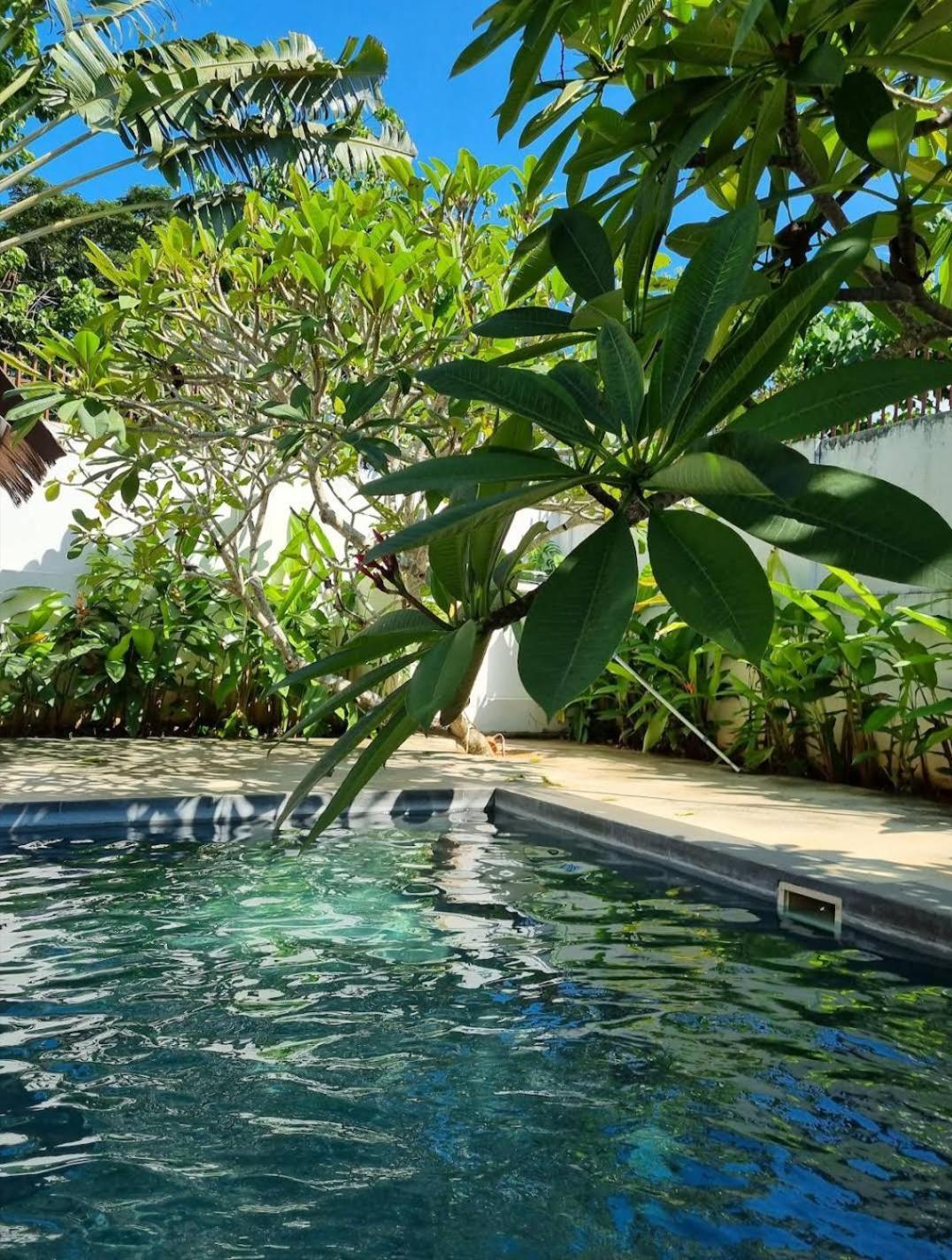 Villa Kalachuchi V.K Puerto Princesa Luaran gambar